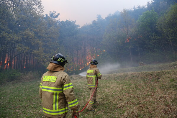 충남소방본부대원들이 지난해 4월 홍성군 장곡면에서 발생한 산불을 진압하고 있다. 사진=충남도