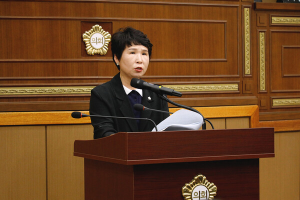 서울 마포구의회 한선미 의원이 의회에서 질의하고 있다. 사진=마포구의회 제공